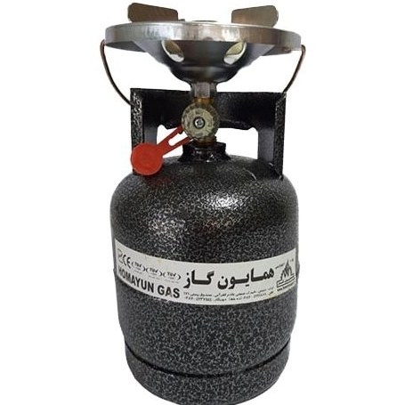 پیک نیک 1 کیلویی همایون گاز