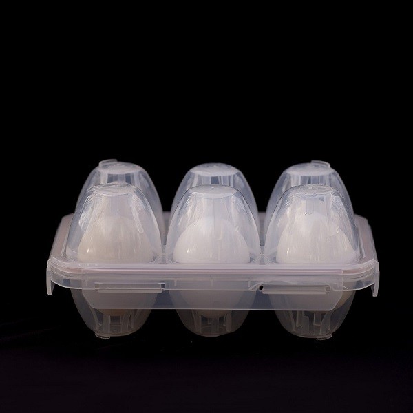 جا تخم مرغ 6 عددی بلک فایر